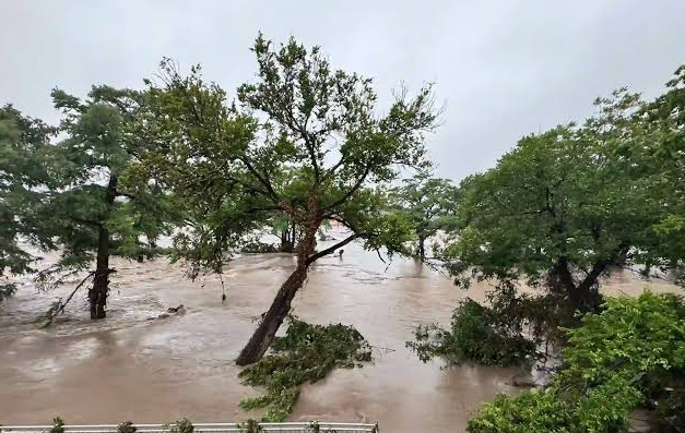 Flood Victim Relief Services in El Paso, TX: What to Know