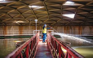Emergency Water Restoration in El Paso, TX: What to Do First