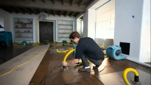 Flood Relief Services
