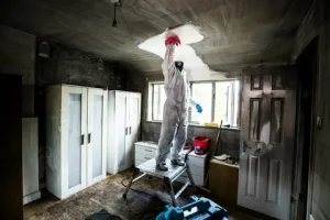 Fire Damage in Horizon